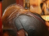 812930500c1-vi